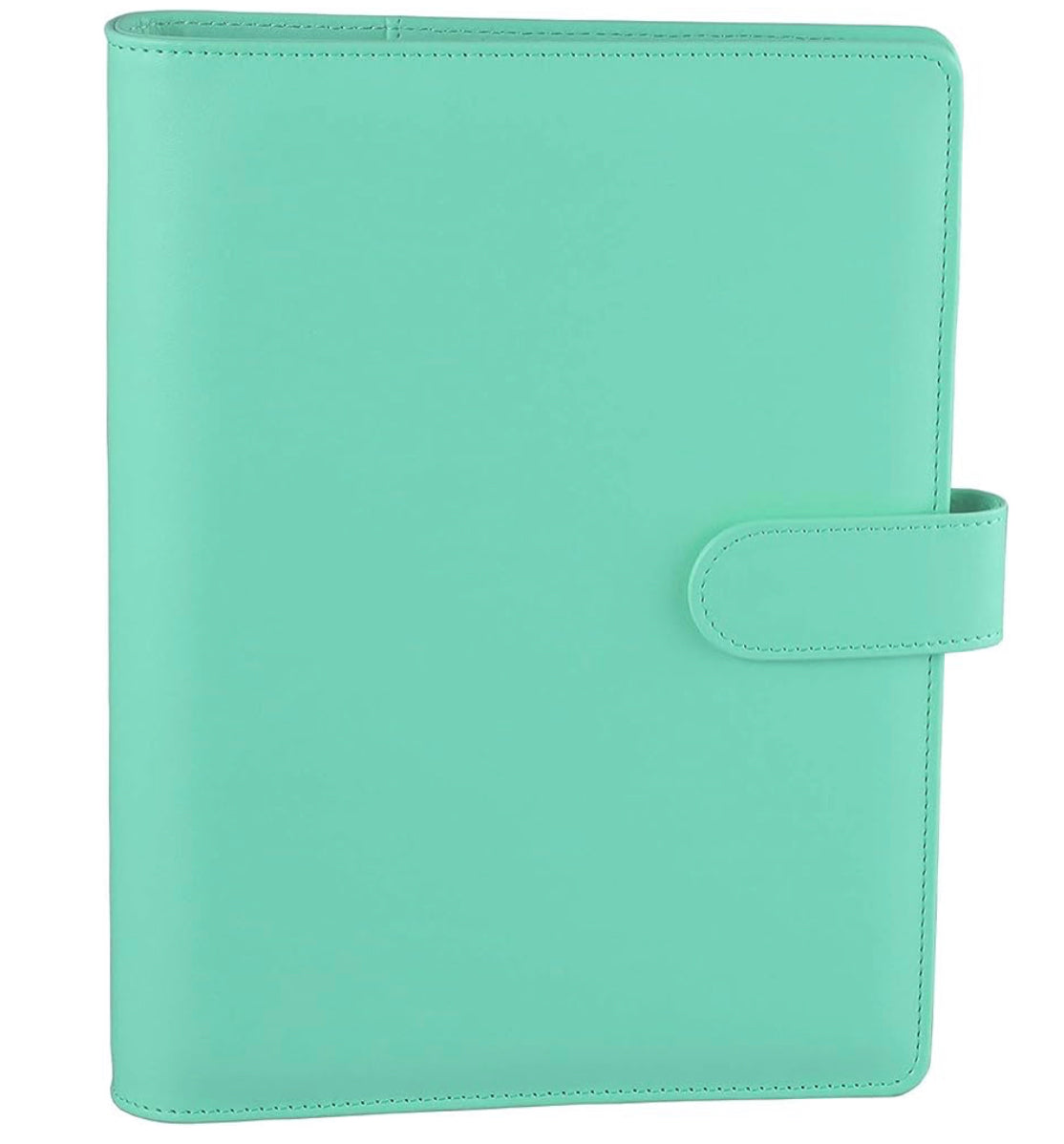 100 Envelope Savings Challenge Plain Binder